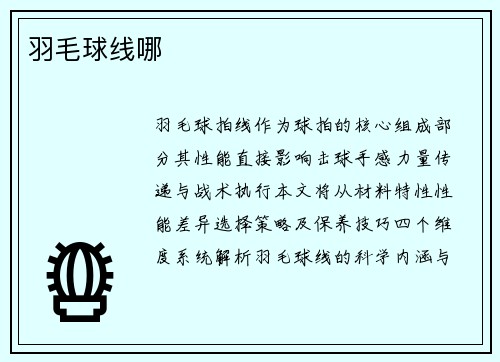 羽毛球线哪