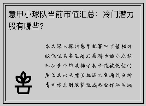 意甲小球队当前市值汇总：冷门潜力股有哪些？